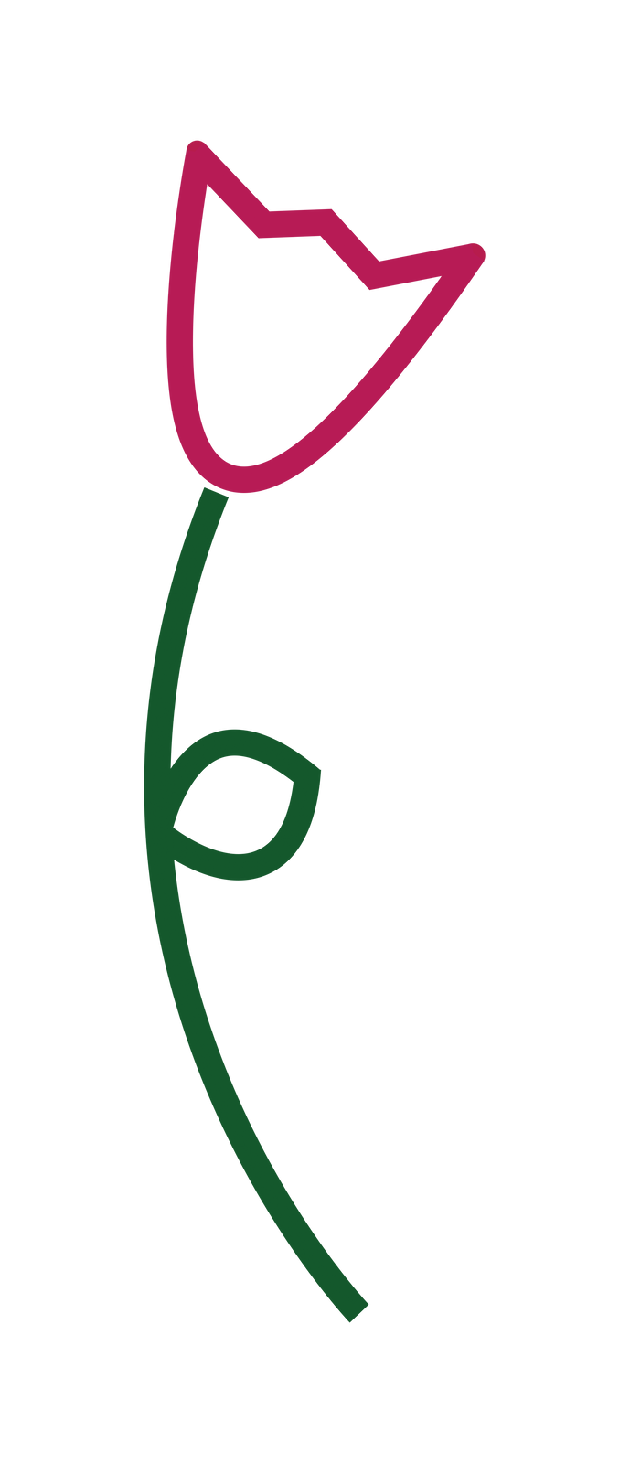 Tulip Graphic.png